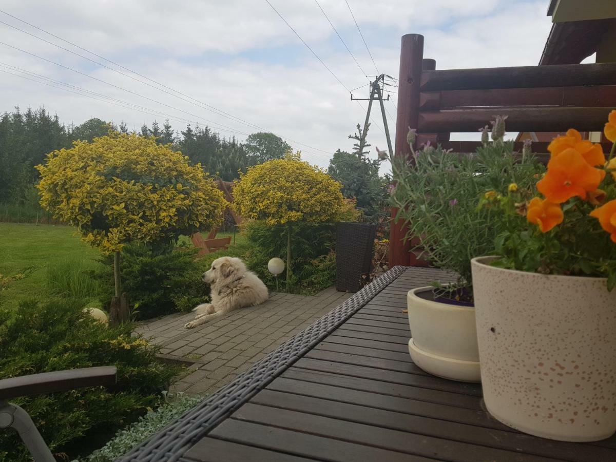 Domki I Pokoje Goscinne A A Malinowscy Stegna  Exterior foto